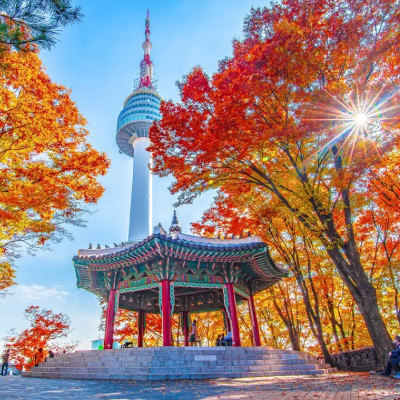 تور کره جنوبی