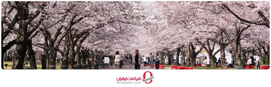 بهترین فصل برای سفر به ژاپن