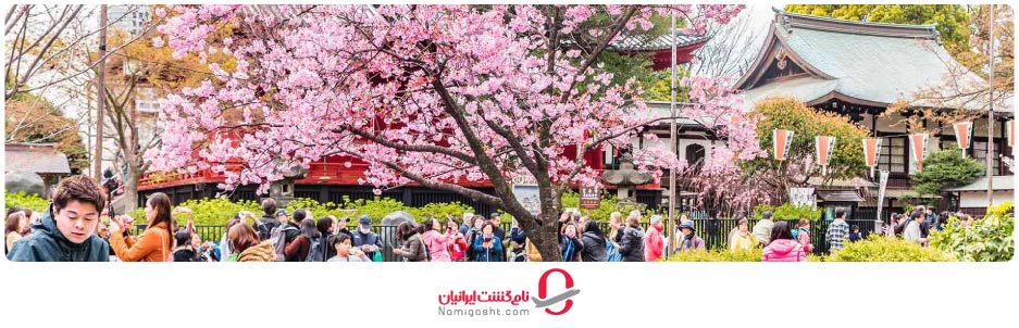 جشنواره ها و فستیوال های معروف ژاپن