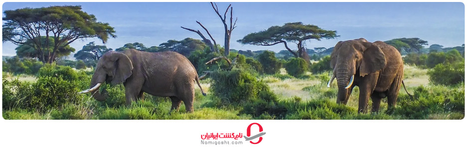 آب و هوای کنیا در بهار