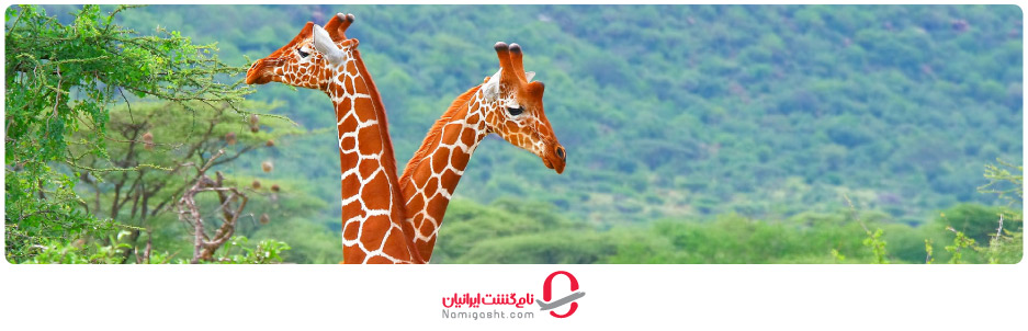 آب و هوای کنیا در فصل تابستان