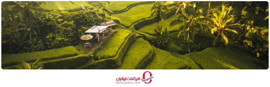 شالیزارهای پلکانی تگالالنگ