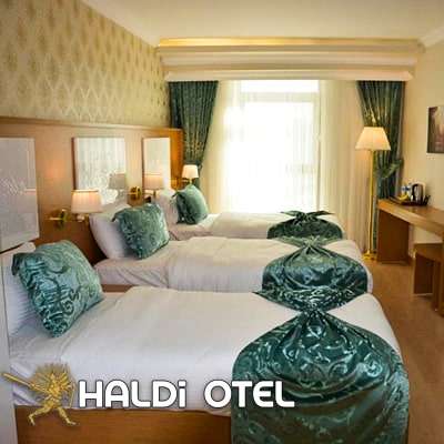 Hotel haldi van