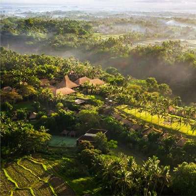 Hotel  maya ubud resort