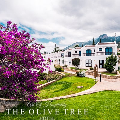 هتل the olive tree cyprus